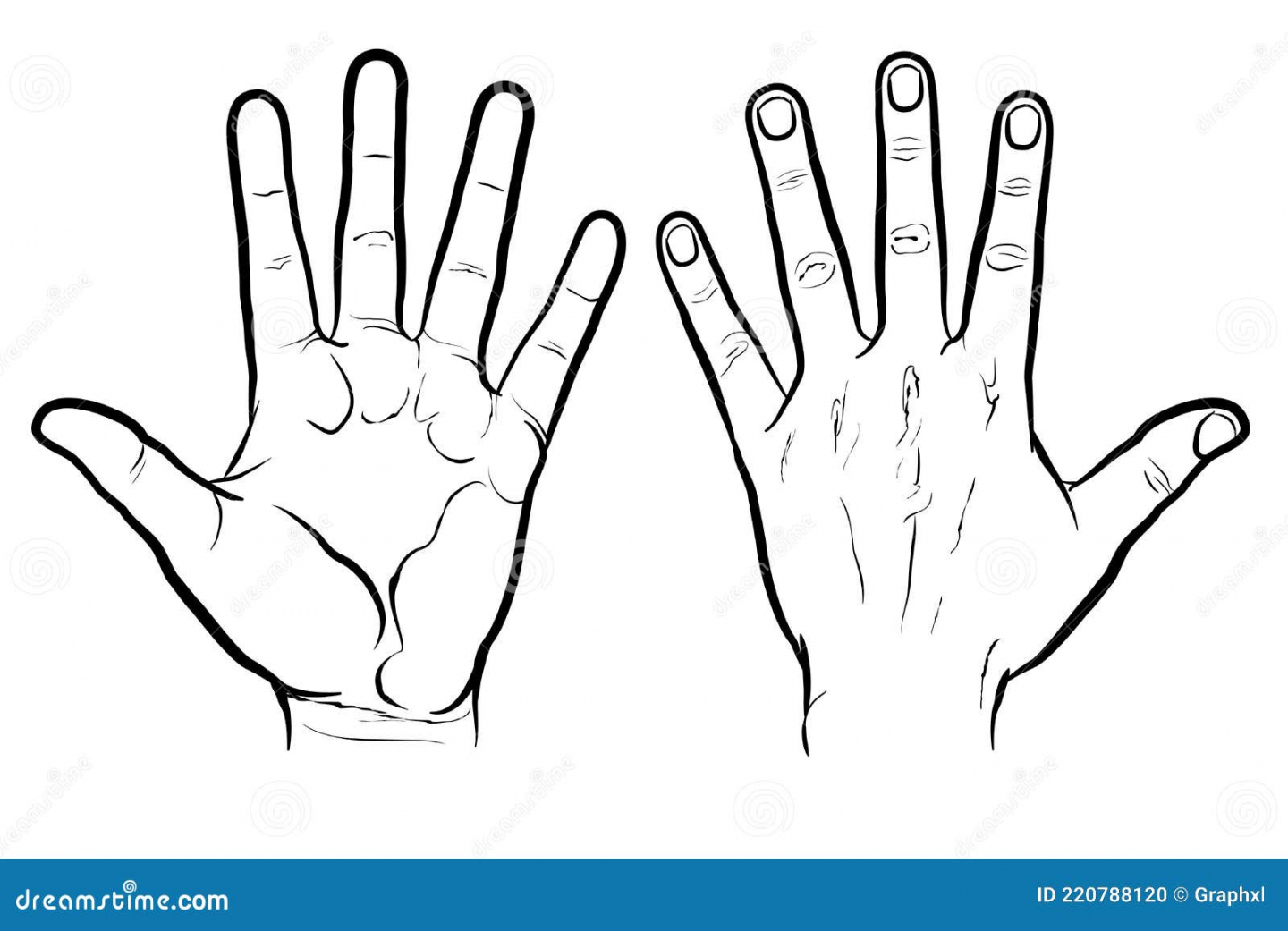 Front and Back of Hand, Outline Version Stock Vector  - FREE Printables - Hand Outline
