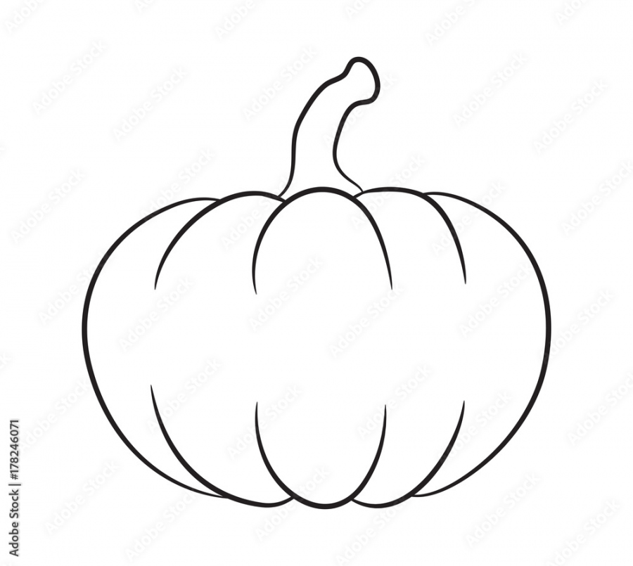 pumpkin outline vector design isolated on white background Stock  - FREE Printables - Outline Of A Pumpkin