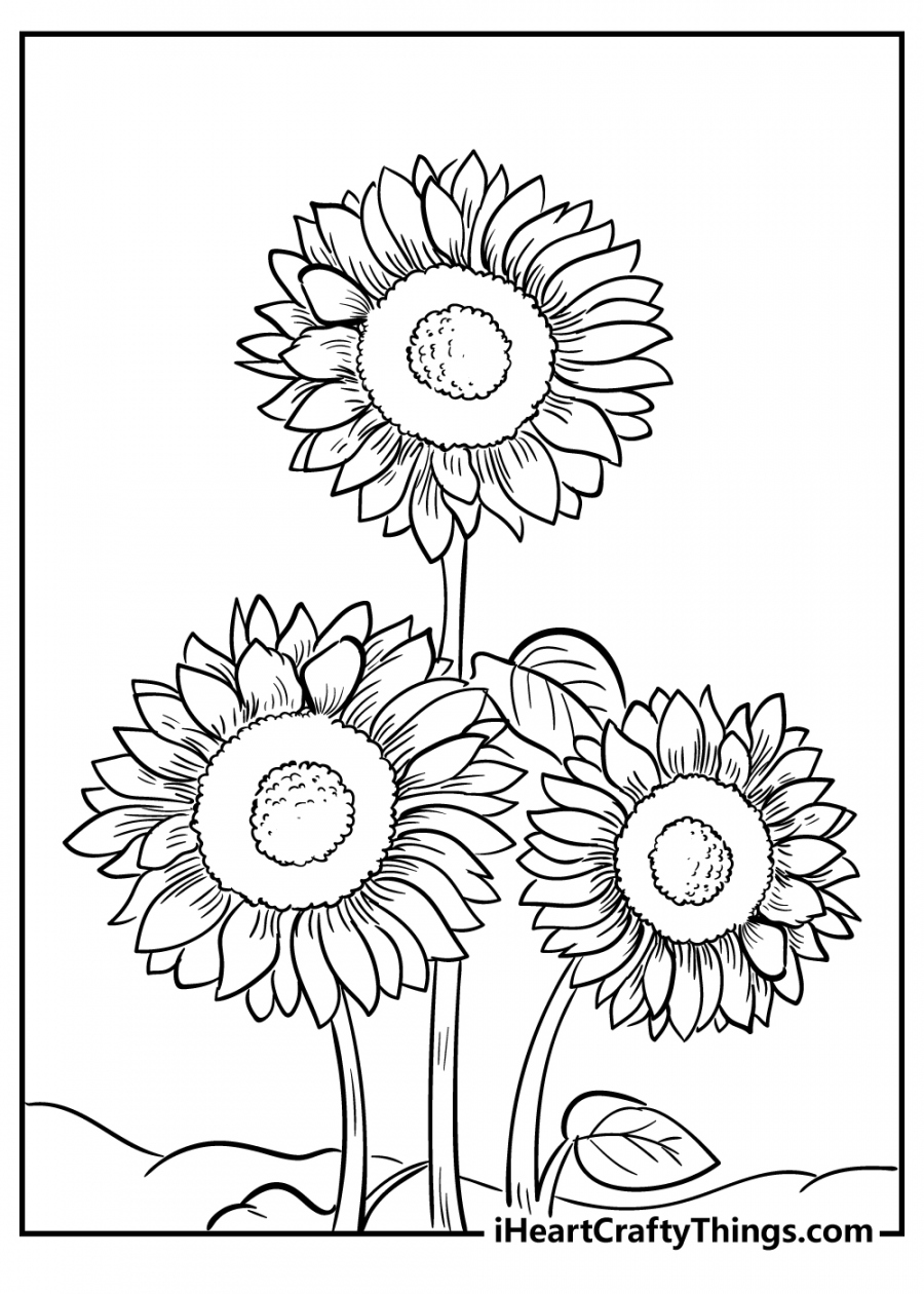 Sunflower Coloring Pages (Updated ) - FREE Printables - Printable Pictures Of Sunflowers