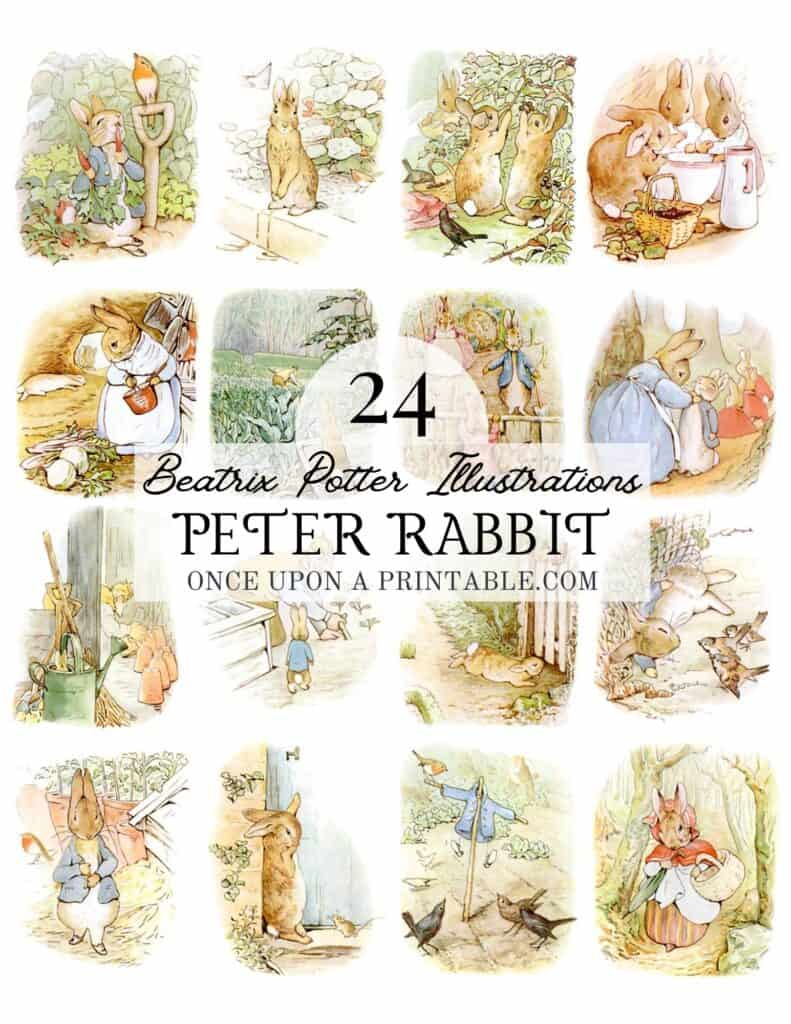 24 Tale Of Peter Rabbit Imagesbeatrix Potter Free - Once Upon throughout Beatrix Potter Free Printables