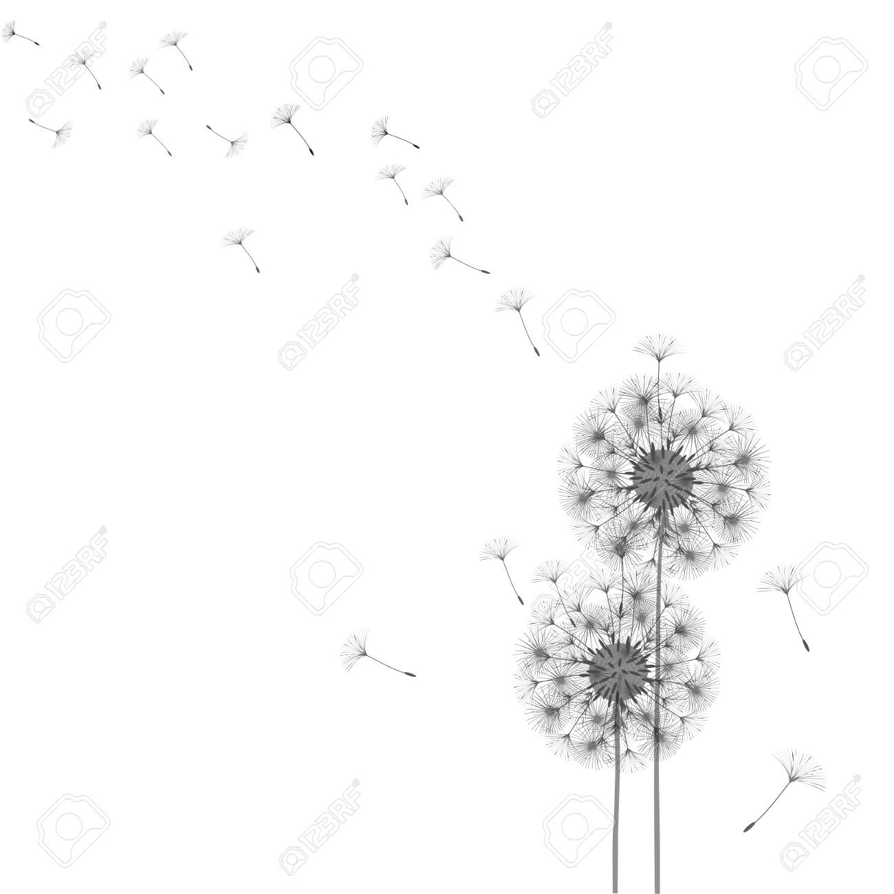 Abstract Dandelion Template Design Royalty Free Svg, Cliparts inside Free Dandelion Printables
