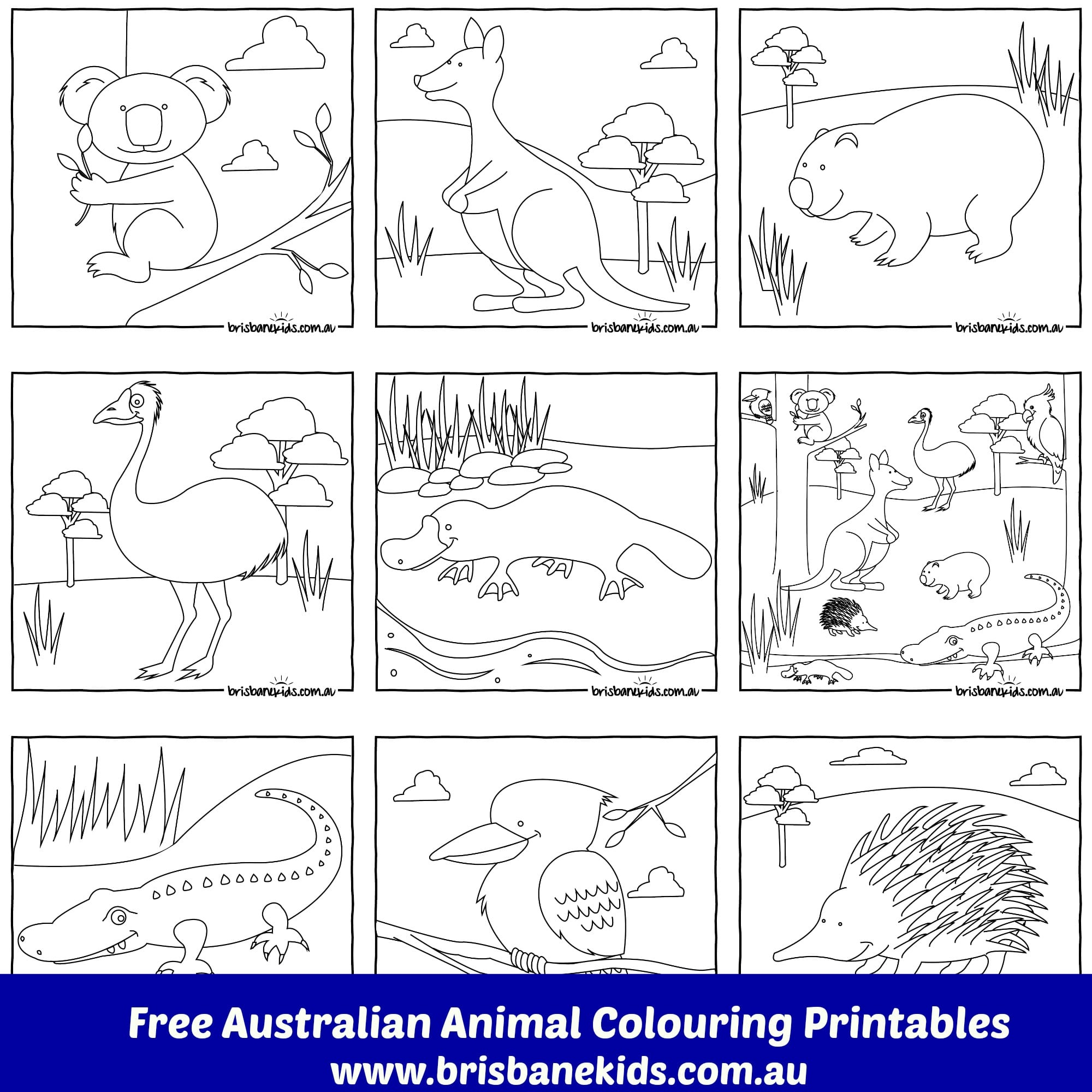 Australian Animals Colouring Pages - Brisbane Kids inside Australian Animals Printables Free
