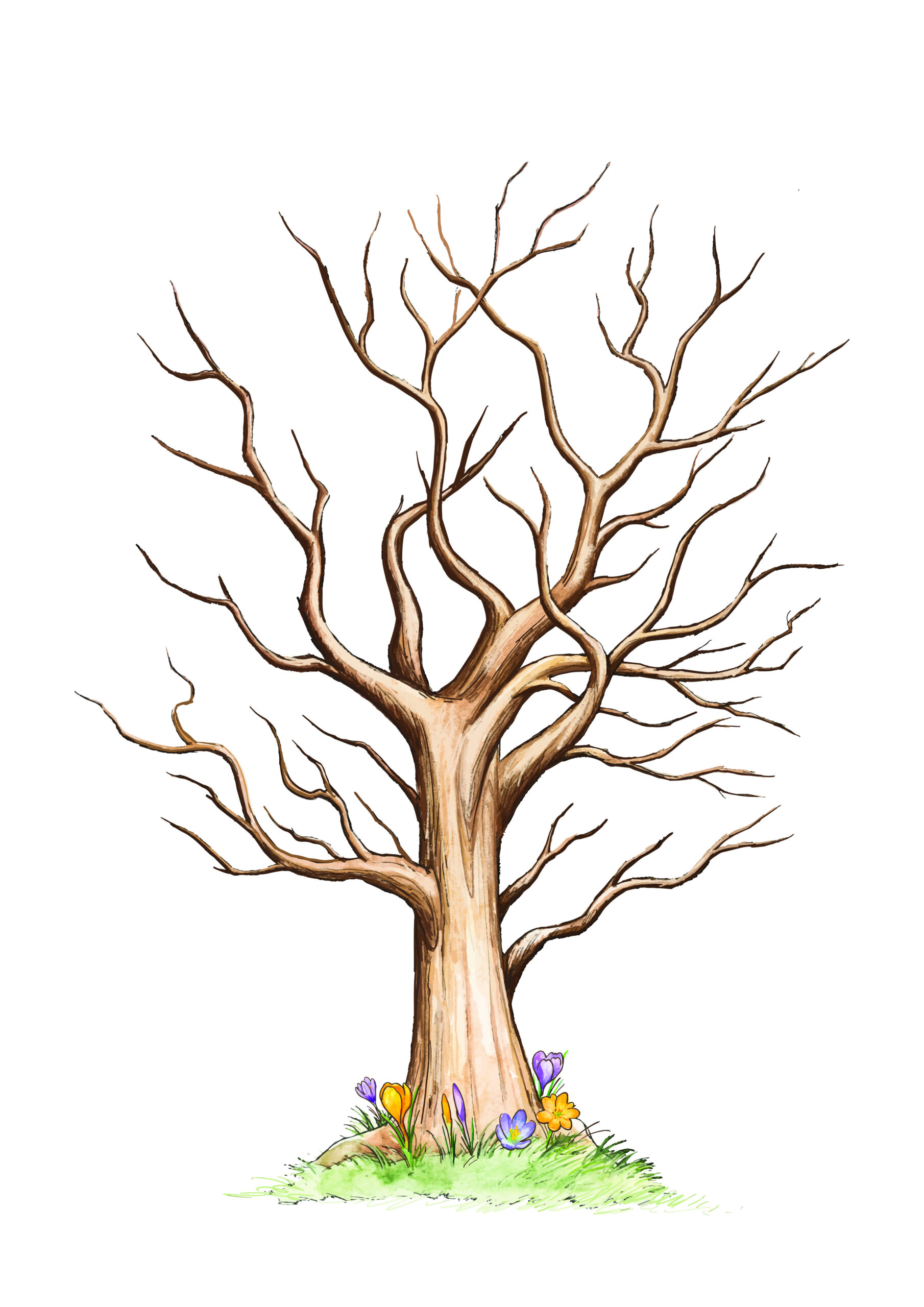 Diy Fingerprint Tree Craft for Free Printable Fingerprint Tree Template