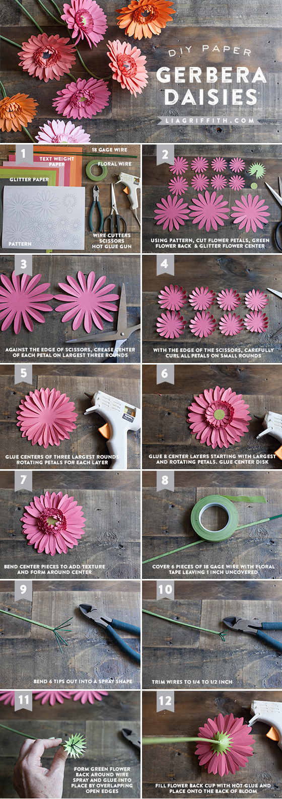 Diy Gerbera Daisy Paper Flower. in Free Gerbera Daisy Template
