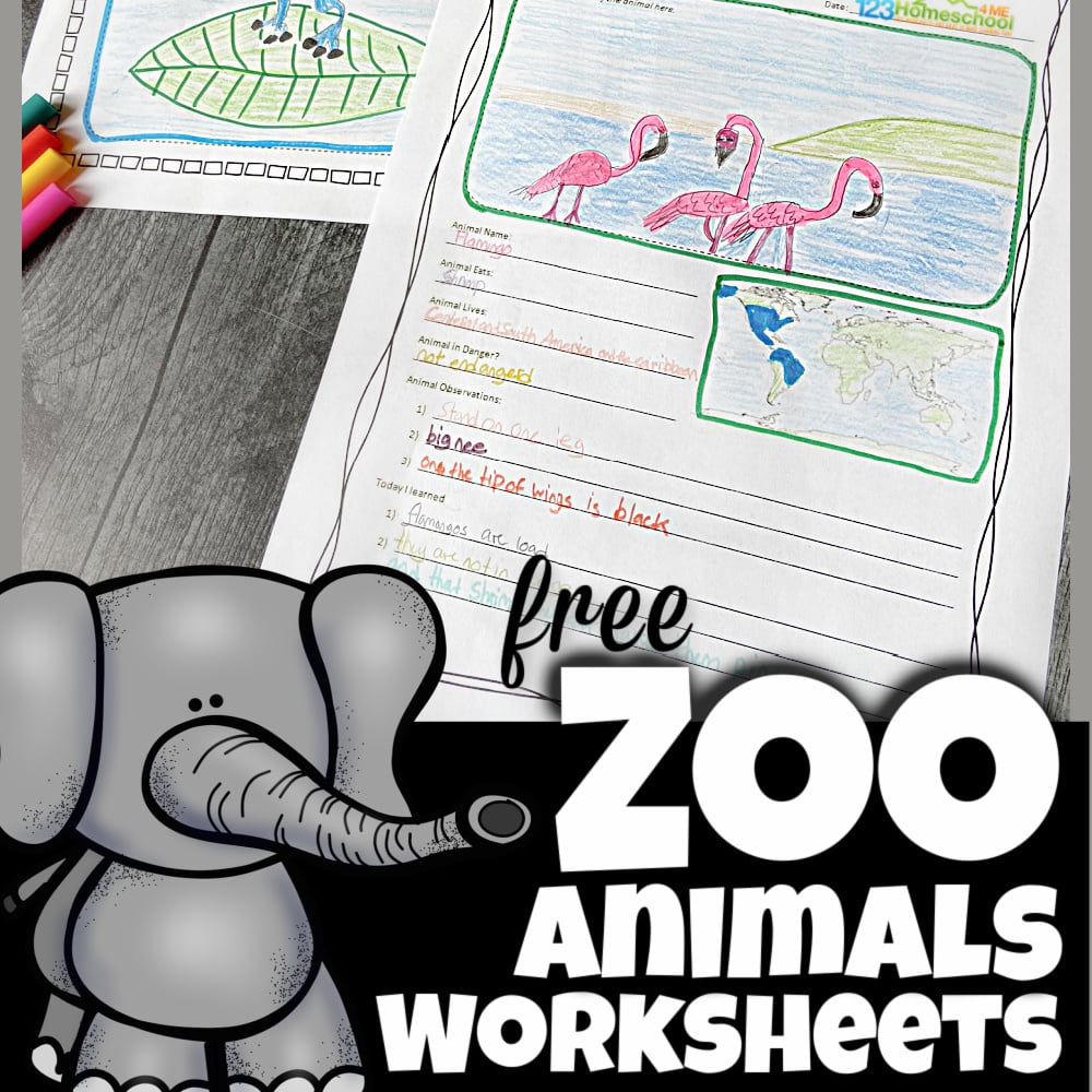 🐘 Free Zoo Field Trip Worksheet And Animal Reports within Free Zoo Field Trip Printables