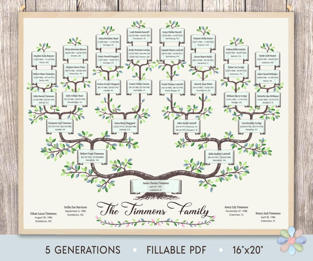 Family Tree Template For 5 Generations. Branched Timmi Genealogy regarding Free Printable 5 Generation Family Tree