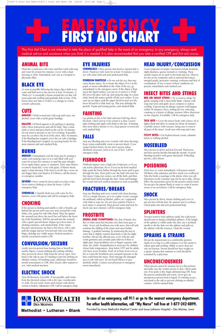 First Aid Chart - 15 Free Pdf Printables | Printablee regarding Free Printable First Aid Guide