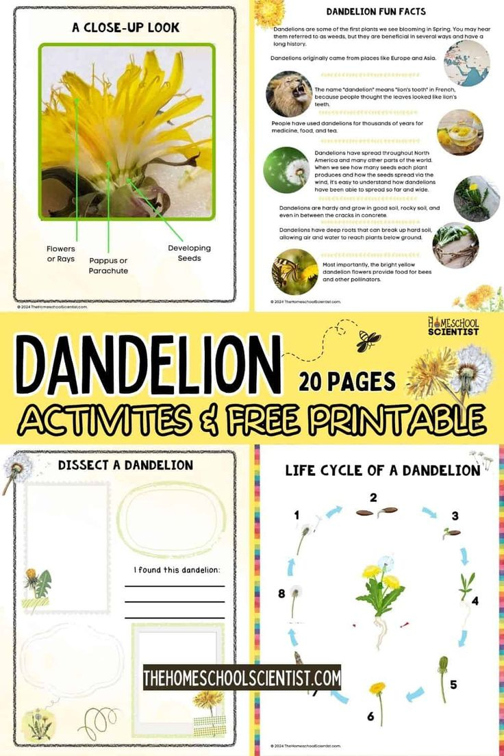 Free Dandelion Printable Pack for Free Dandelion Printables
