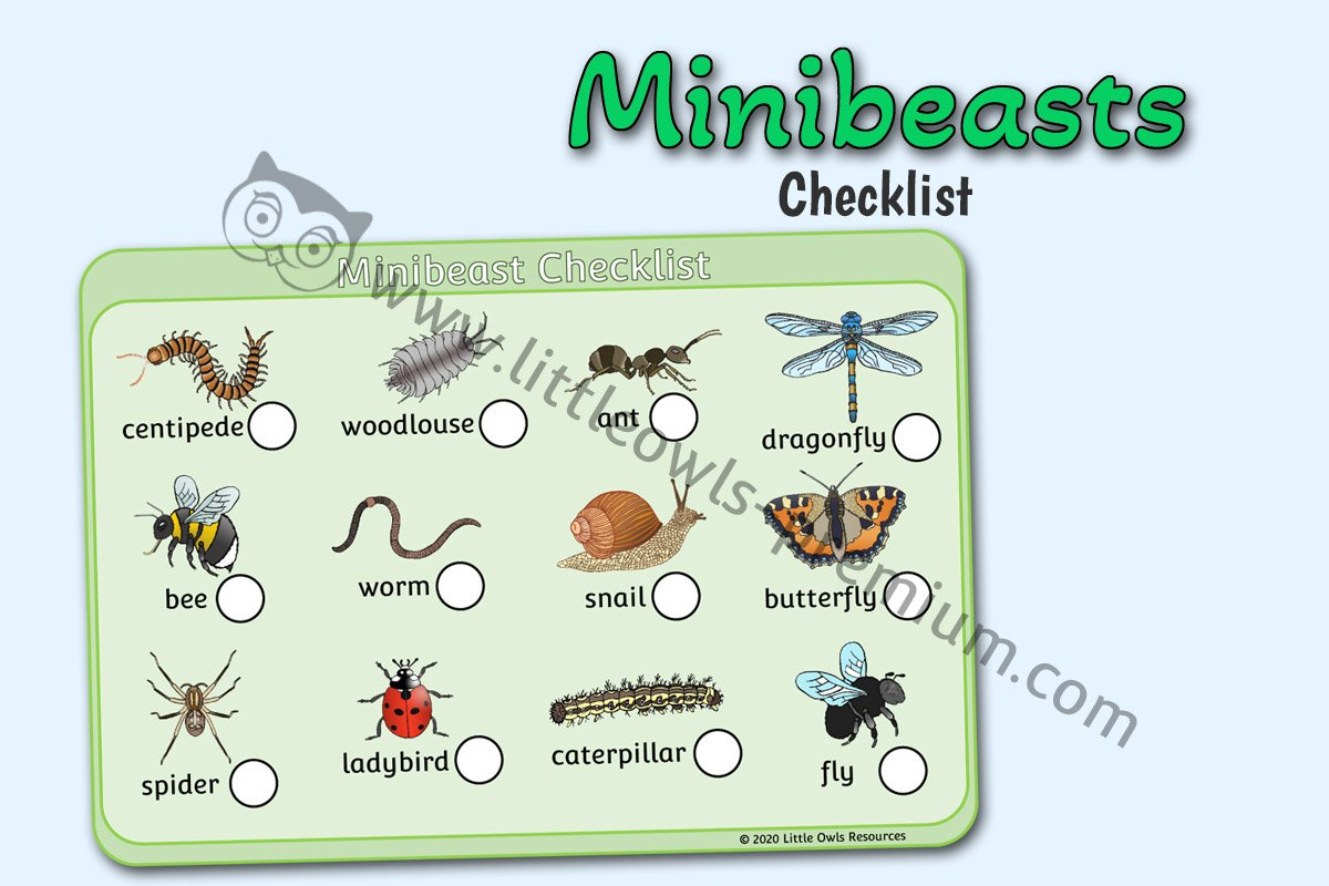 Free Minibeasts Checklist Early Years/Ey (Eyfs) Printable Download for Free Minibeast Printables
