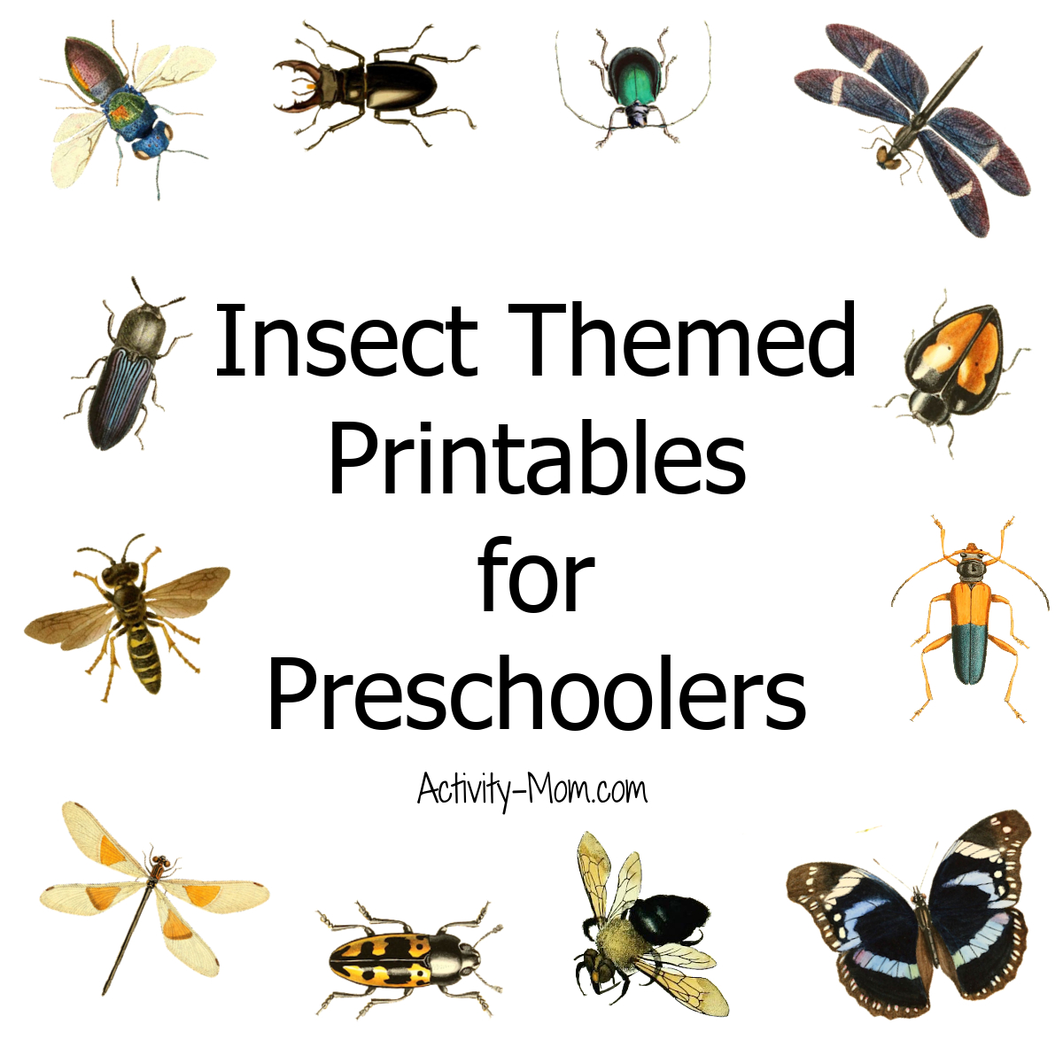 Free Preschool Insect Theme Printables And Activities - The with Free Minibeast Printables