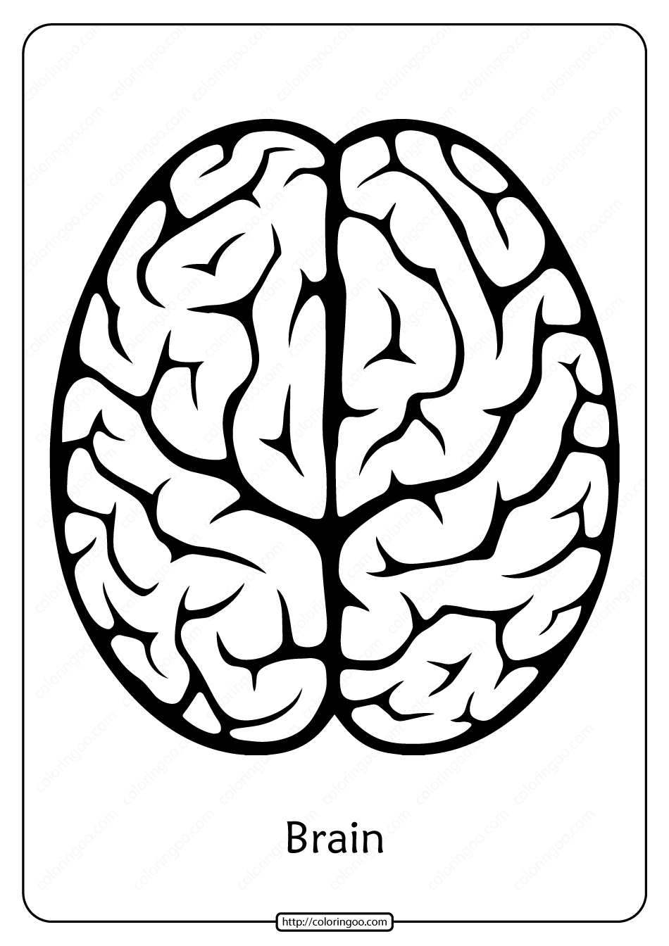 Free Printable Brain Outline Pdf Coloring Pages within Free Printable Pictures of The Human Brain