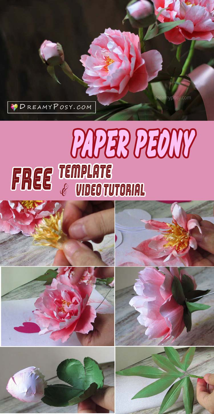 How To Make Paper Peony From Printer Paper, Free Template throughout Free Printable Peony Flower Patterns