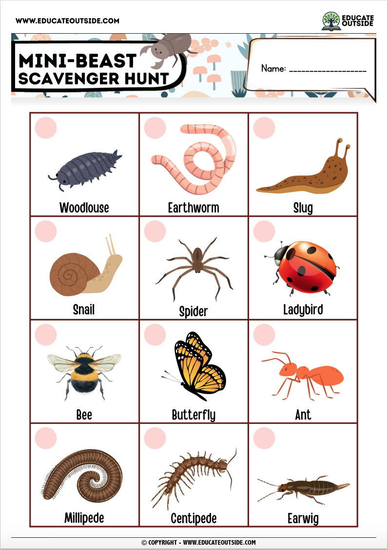 Insect Scavenger Hunt | Free Download in Free Minibeast Printables