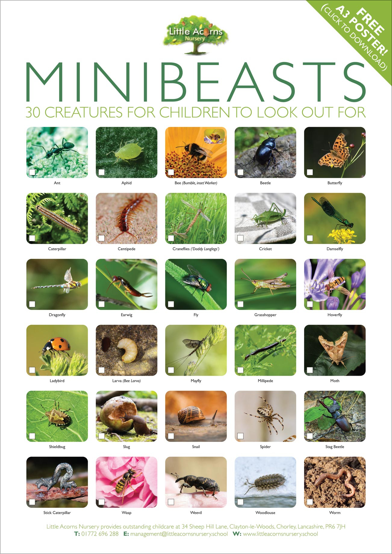 Let&amp;#039;S Find Minibeasts! A Nature Activity For Kids ( With Free Poster!) intended for Free Minibeast Printables