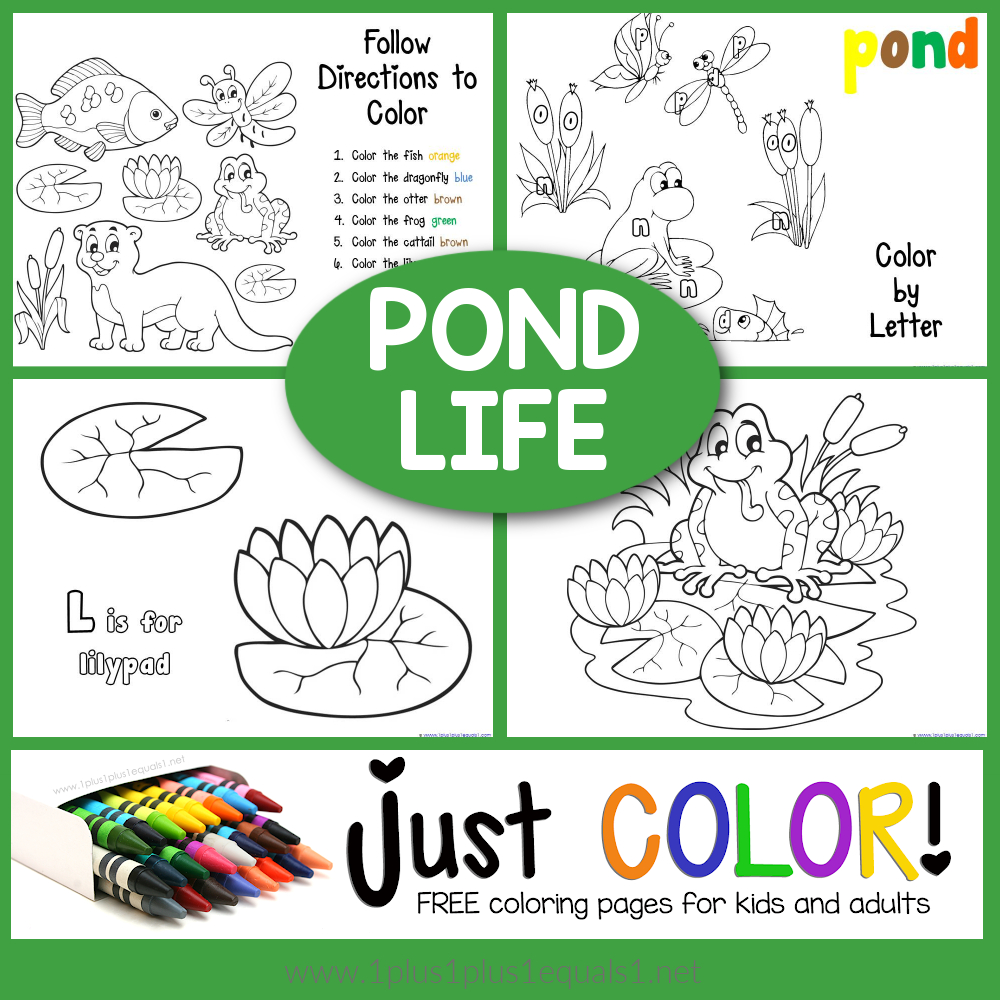 Pond Coloring Printables - 1+1+1=1 intended for Free Pond Life Printables