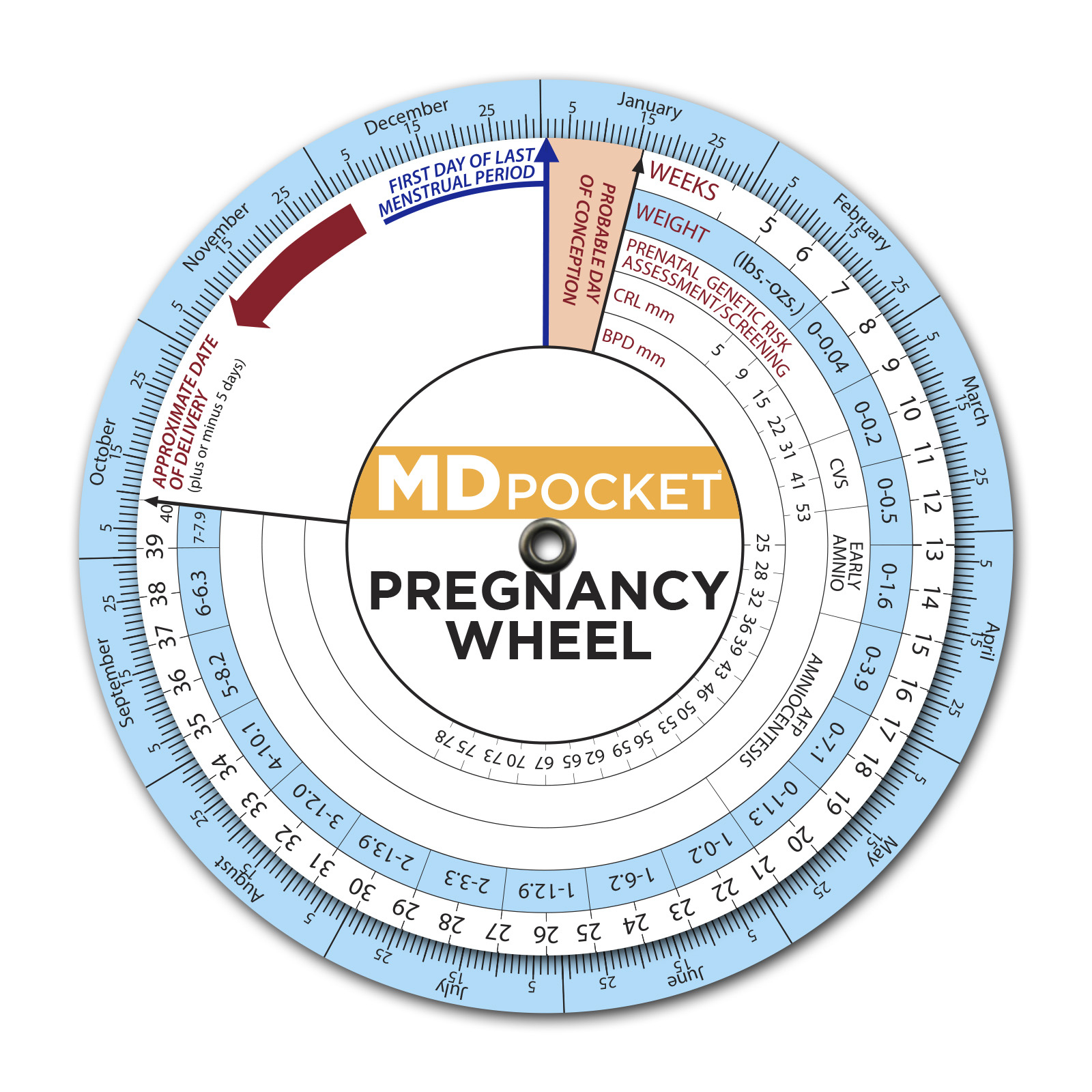 Pregnancy Wheel inside Free Printable Pregnancy Wheel