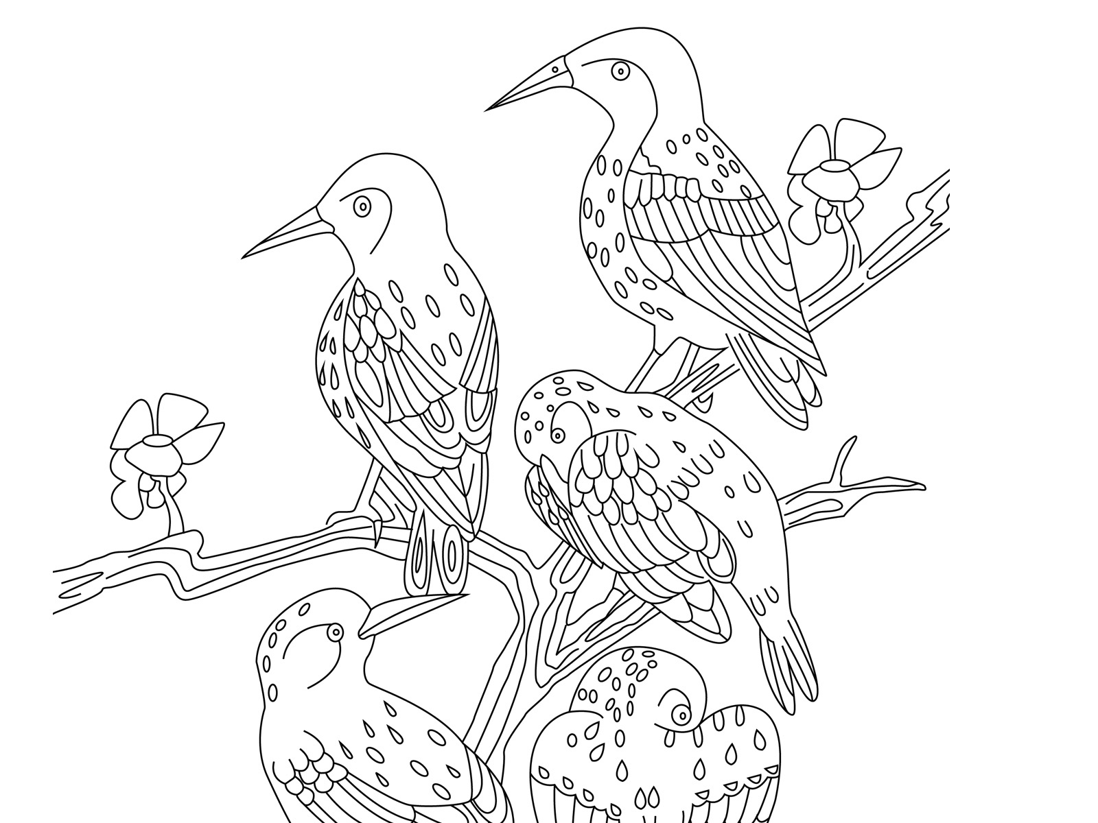 Spot The Differences, Five Birds - Marias Place with regard to Free Printable Spot The Difference For Elderly
