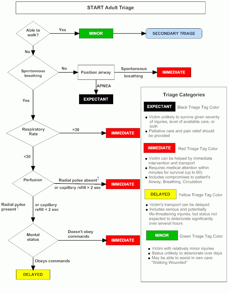 Start Adult Triage Algorithm - Chemm throughout Free Printable Triage Tags