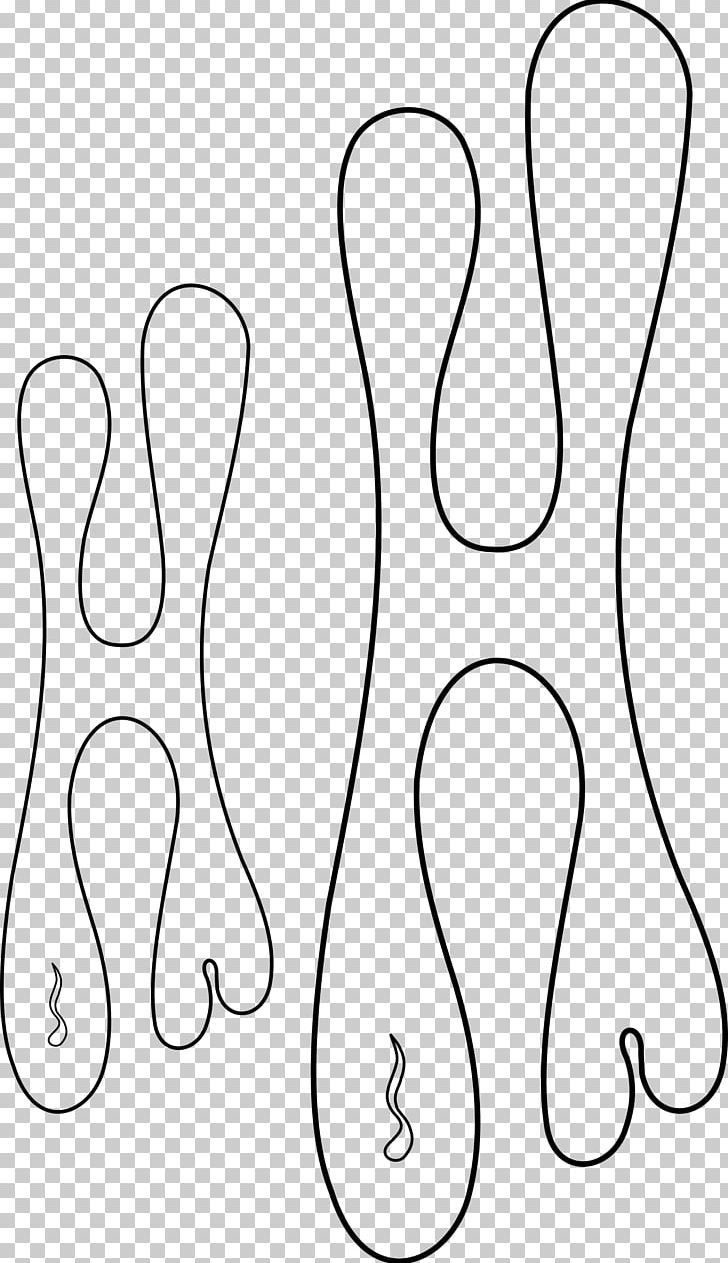 Stencil Airbrush Flame Png - Free Download throughout Free Printable Airbrush Templates