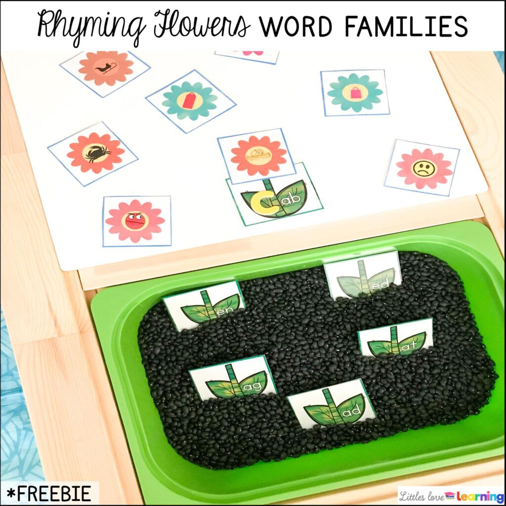 The Tiny Seed Activities For Preschool And Kinder + Freebie for The Tiny Seed Free Printables