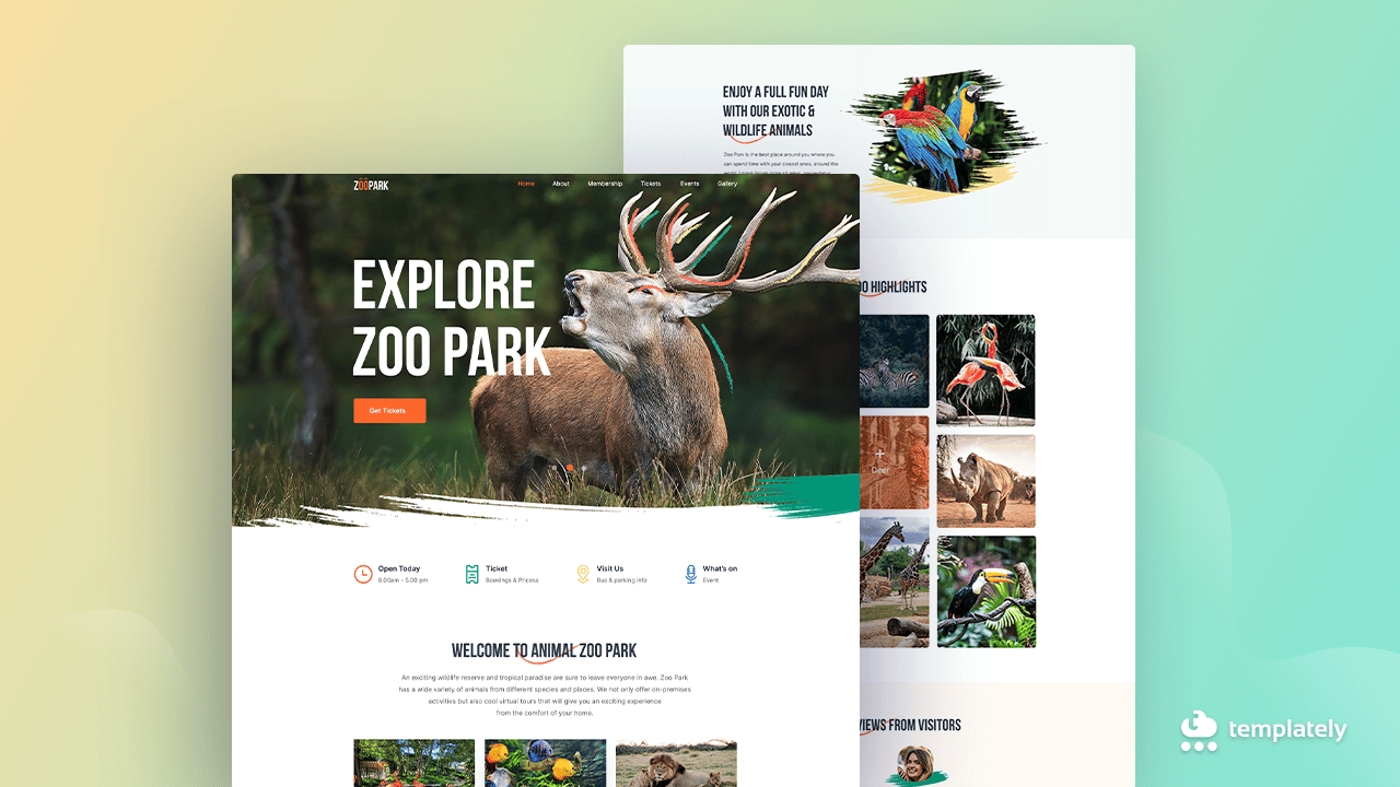 Video Placeholder for Free Safari Website Templates