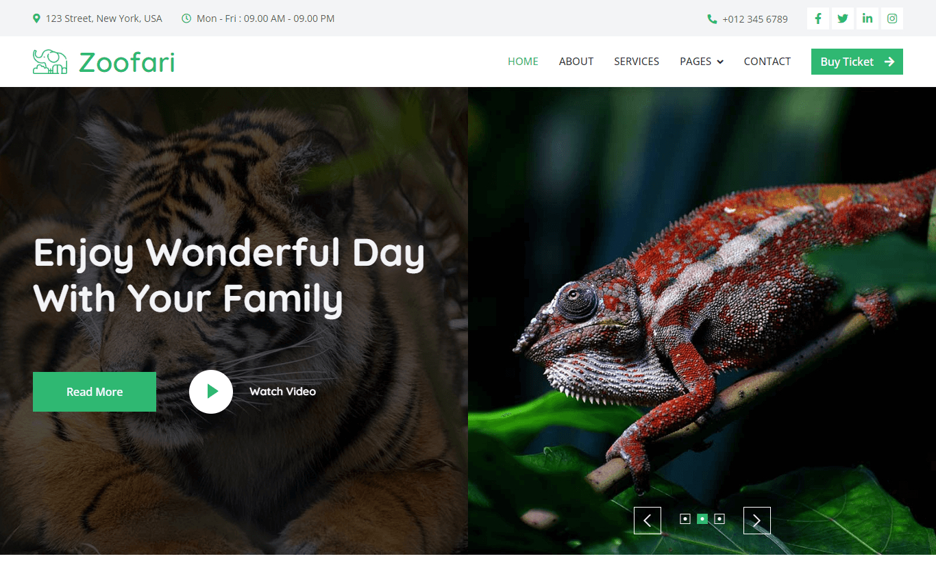 Zoofari - Free Responsive Bootstrap 5 Html5 Wildlife Website Template with Free Safari Website Templates