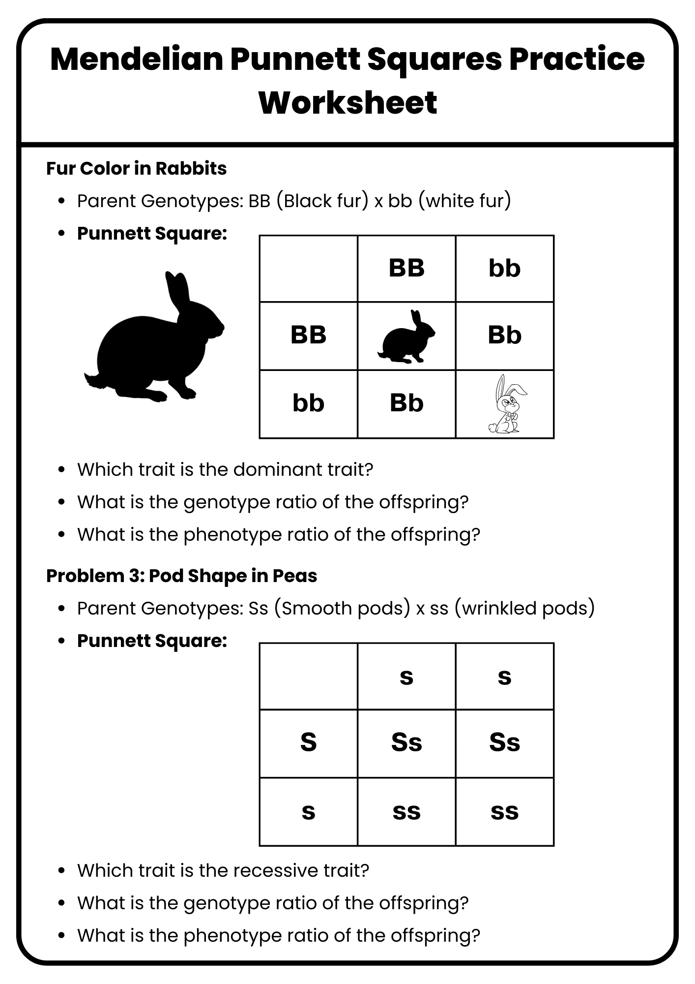 40+ Punnett Square Practice Worksheet To Download In Pdf for Printable Punnett Square Practice Worksheet