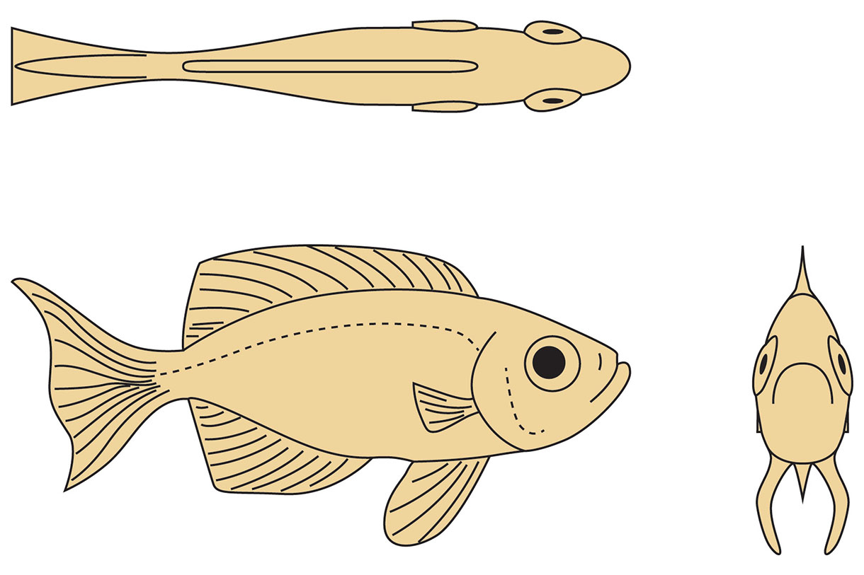 Beginner&amp;#039;S Knife-Carving Guide: Lunar-Tailed Bigeye Fish inside Printable Fish Wood Carving Patterns