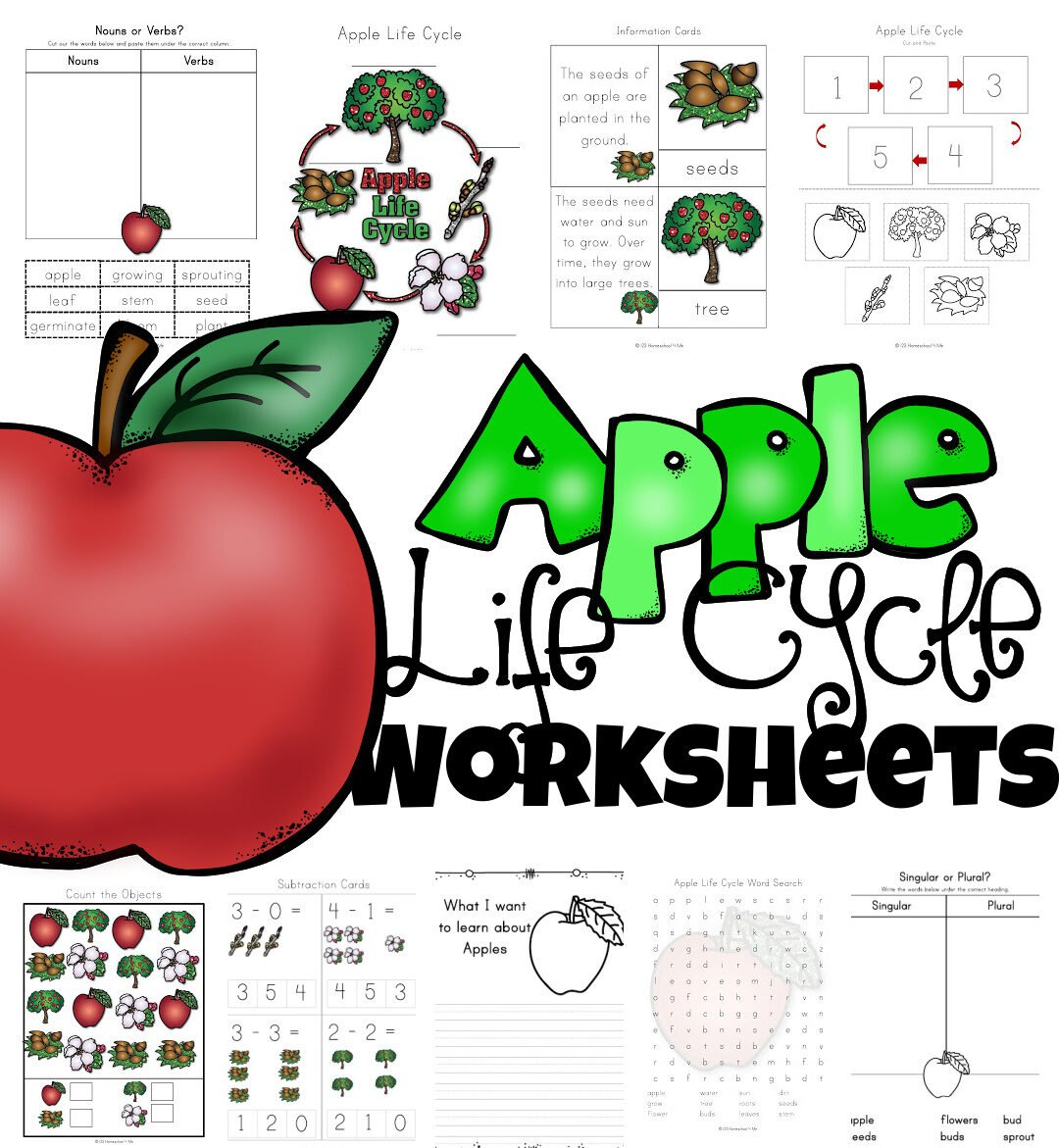 🍎 Free Apple Life Cycle Printable Worksheets regarding Free Apple Life Cycle Printable