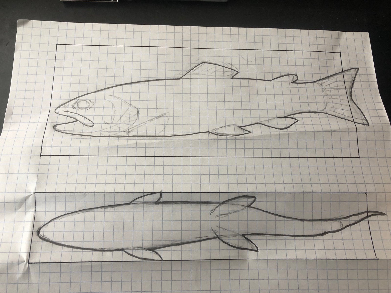 First Brook Trout Carving | Paflyfish inside Printable Fish Wood Carving Patterns