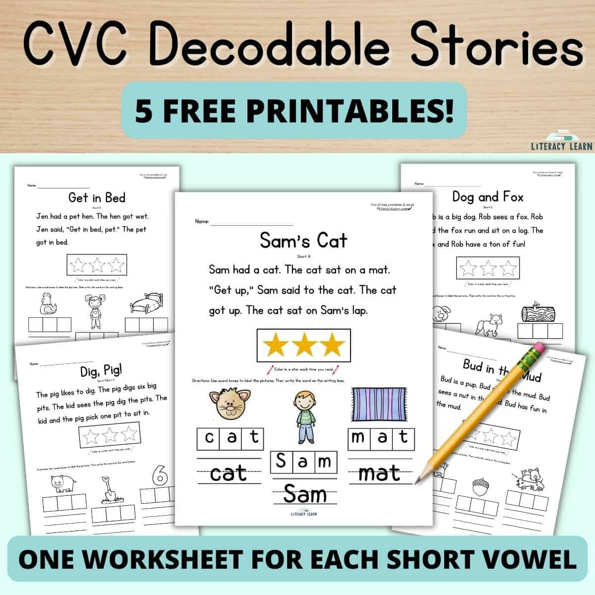 Free Cvc Word Decodable Stories For Reading &amp;amp; Spelling - Literacy pertaining to Free Printable Decodable Books For Kindergarten