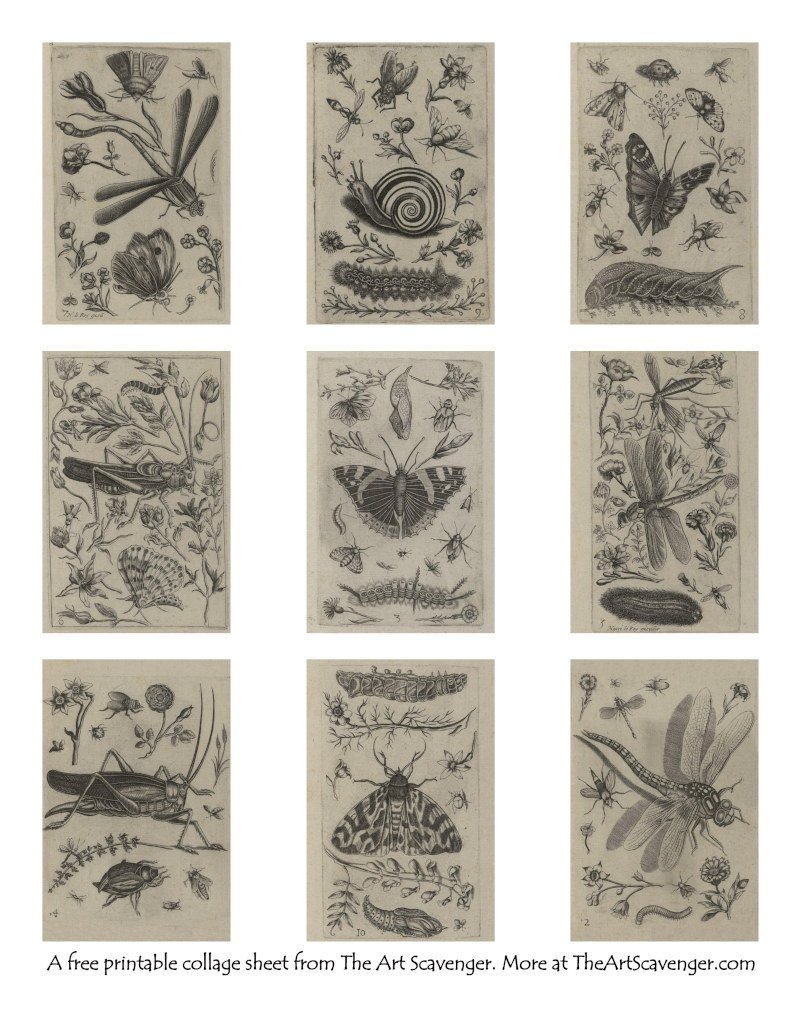 Free Insect Journal Printables — The Art Scavenger within Free Art Journal Printables