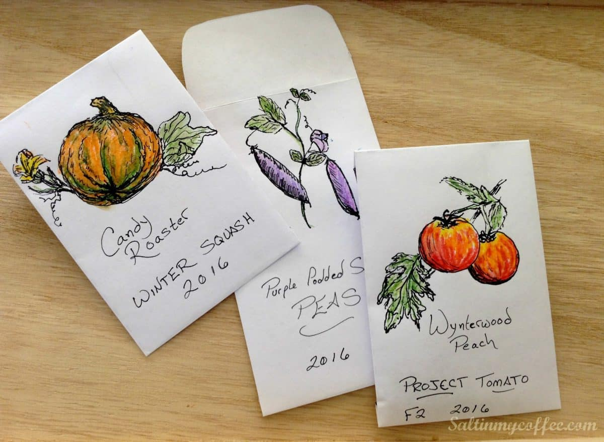 Free Printable Seed Packet For Seed Saving - Salt In My Coffee throughout Free Printable Printable Seed Packet Template