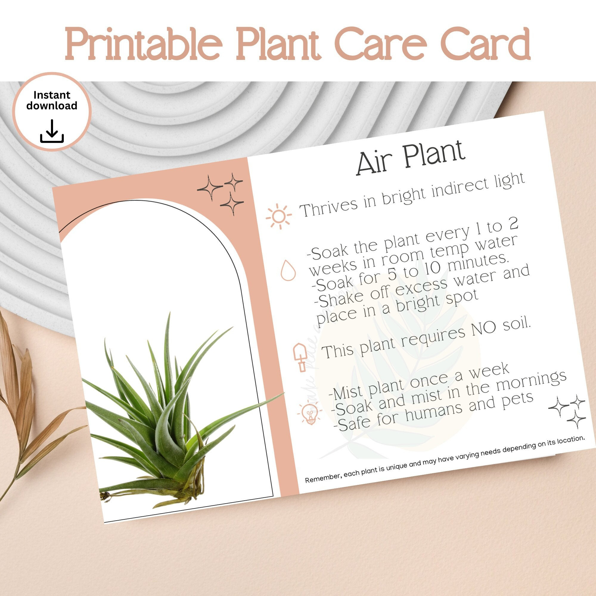 Istruzioni Per La Cura Delle Piante Aeree Stampabili - Scheda Per in Printable Air Plant Care Card