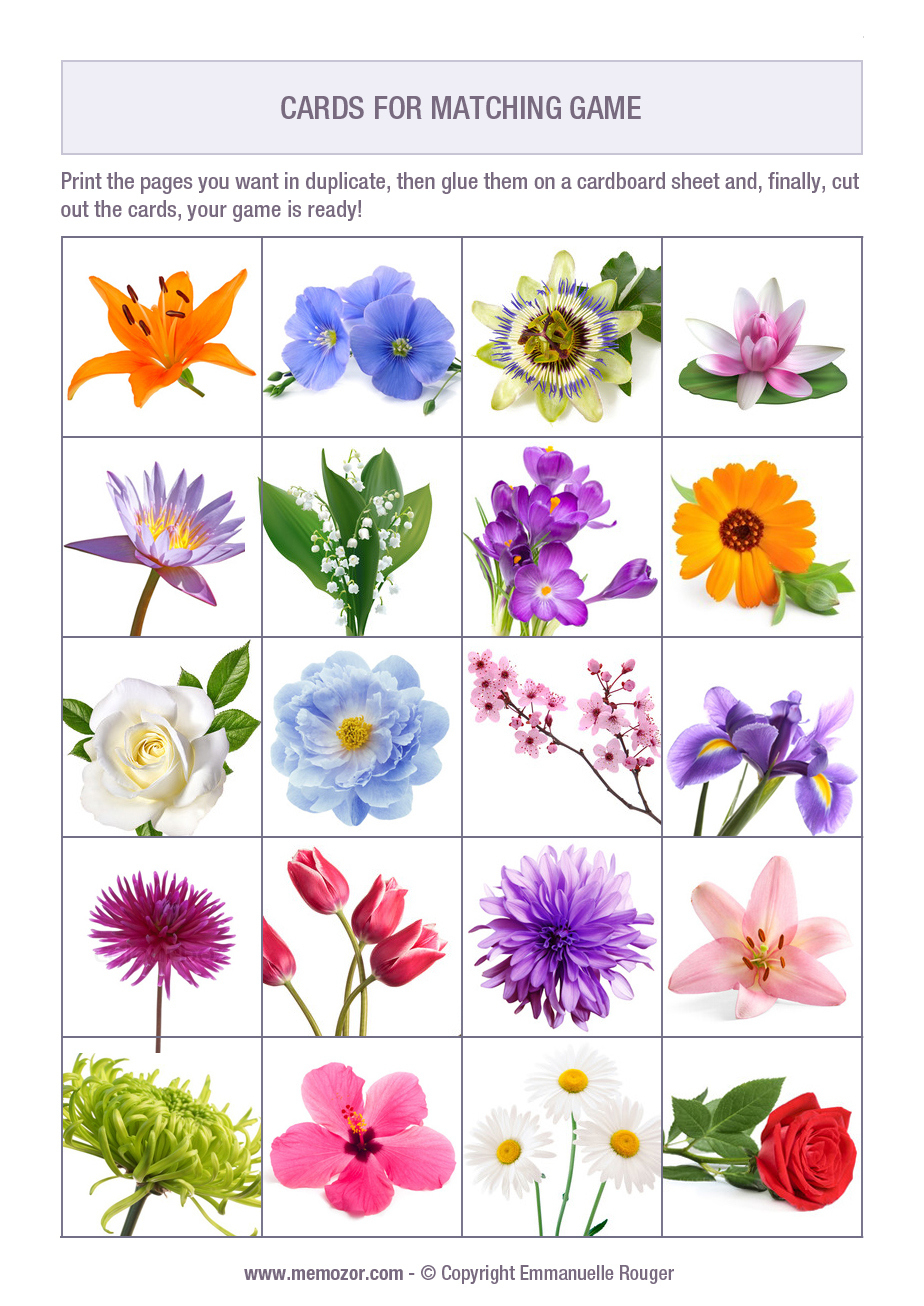 Printable Matching Game For Seniors - Flowers - Print And Cut Out throughout Memory Games For Adults Free Printable