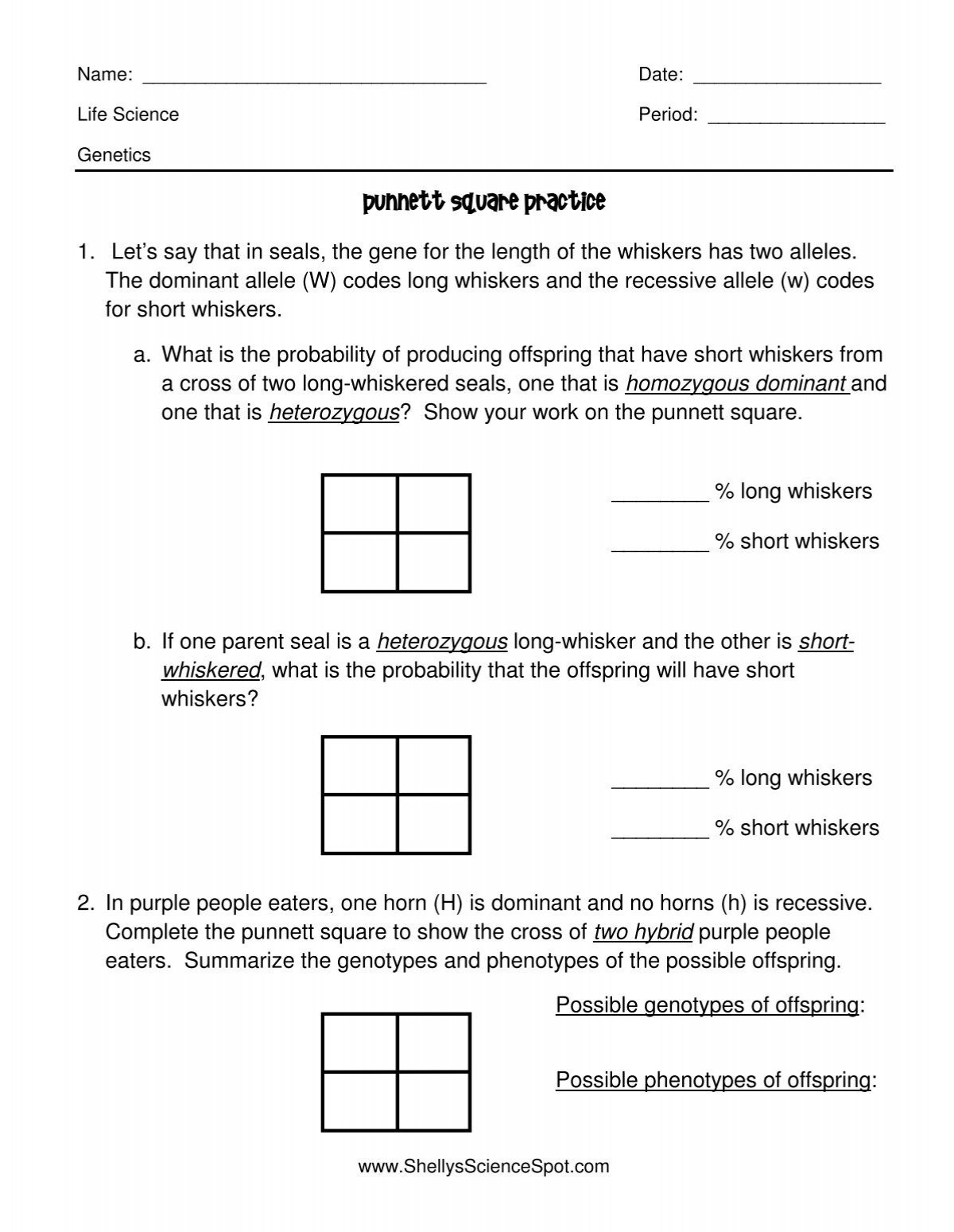 Punnett Square Practice inside Free Printable Punnett Square Worksheets