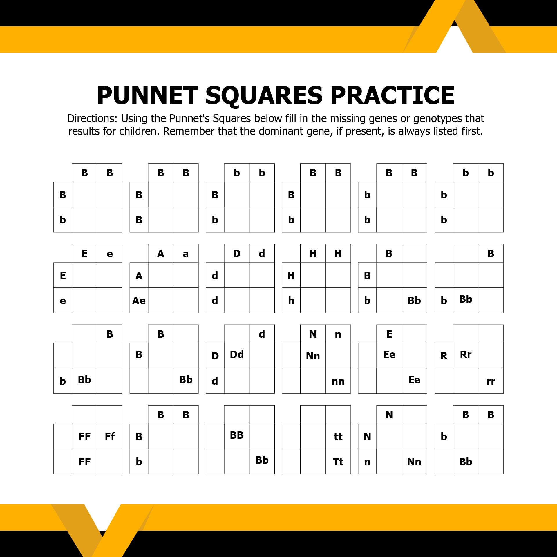 Punnett Square Practice Worksheet-1 - Bio 115 - Studocu throughout Free Printable Punnett Square Worksheets