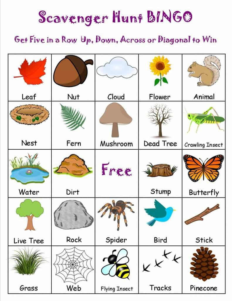 11 Bingo Games Non Holiday Ideas | Bingo, Bingo Games, Bingo Printable regarding Scavenger Hunt Bingo Cards