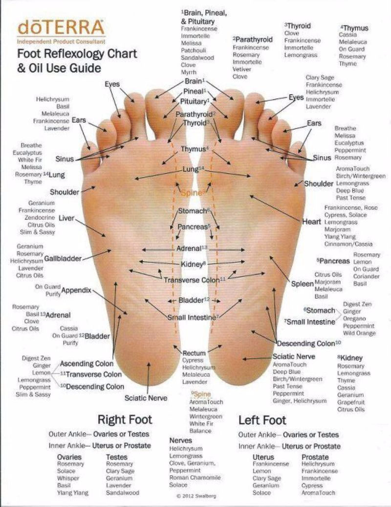 31 Printable Foot Reflexology Charts &amp;amp; Maps ᐅ Templatelab for Printable Reflexology Charts Free