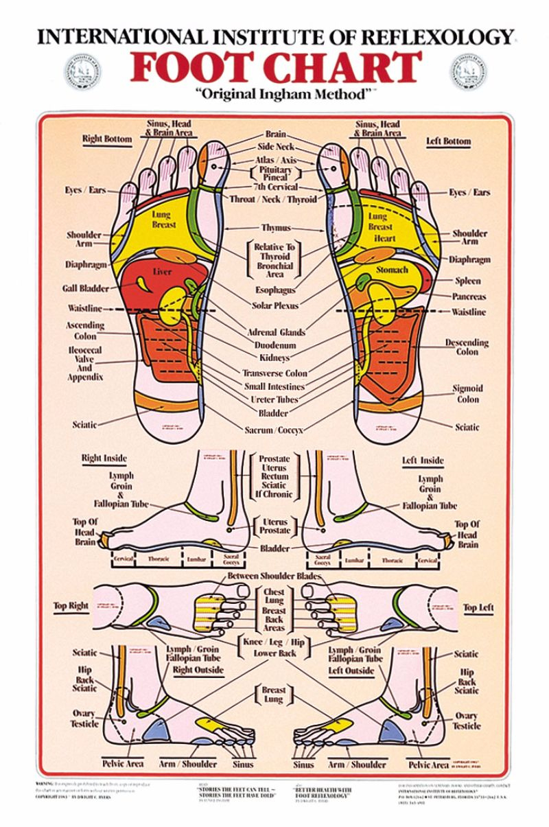 31 Printable Foot Reflexology Charts &amp;amp; Maps ᐅ Templatelab throughout Free Printable Reflexology Chart