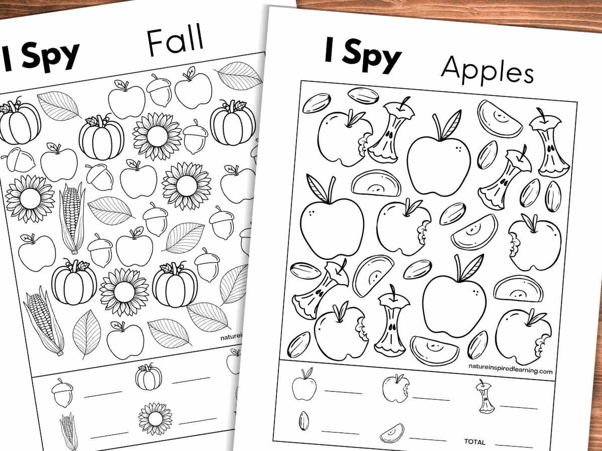 8 Fall I Spy Printables - Nature Inspired Learning regarding Free I Spy Printables