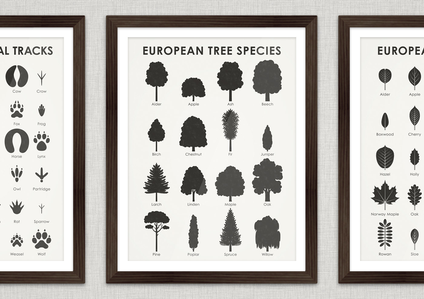 Art Prints | Identification Chart With Tree Shapes – Iris Luckhaus pertaining to Shapes Identification Chart