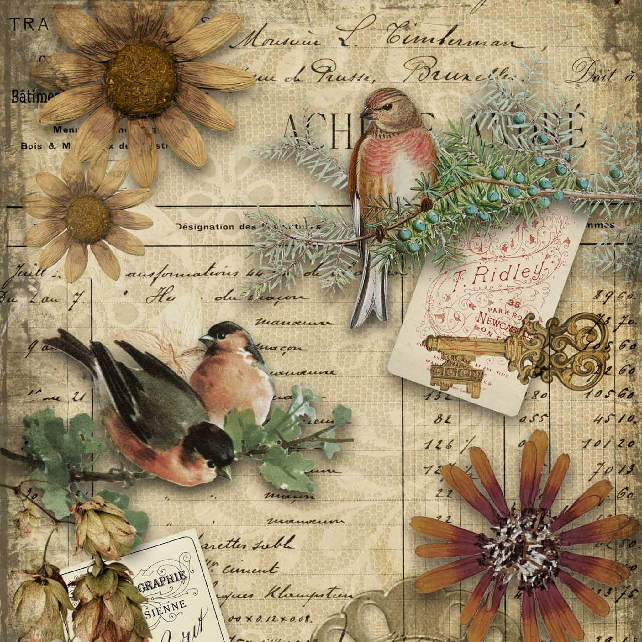 Autumn Birds - A0 Rice Decoupage Paper - Decoupage Queen | Maika for Vintage Free Decoupage Printables