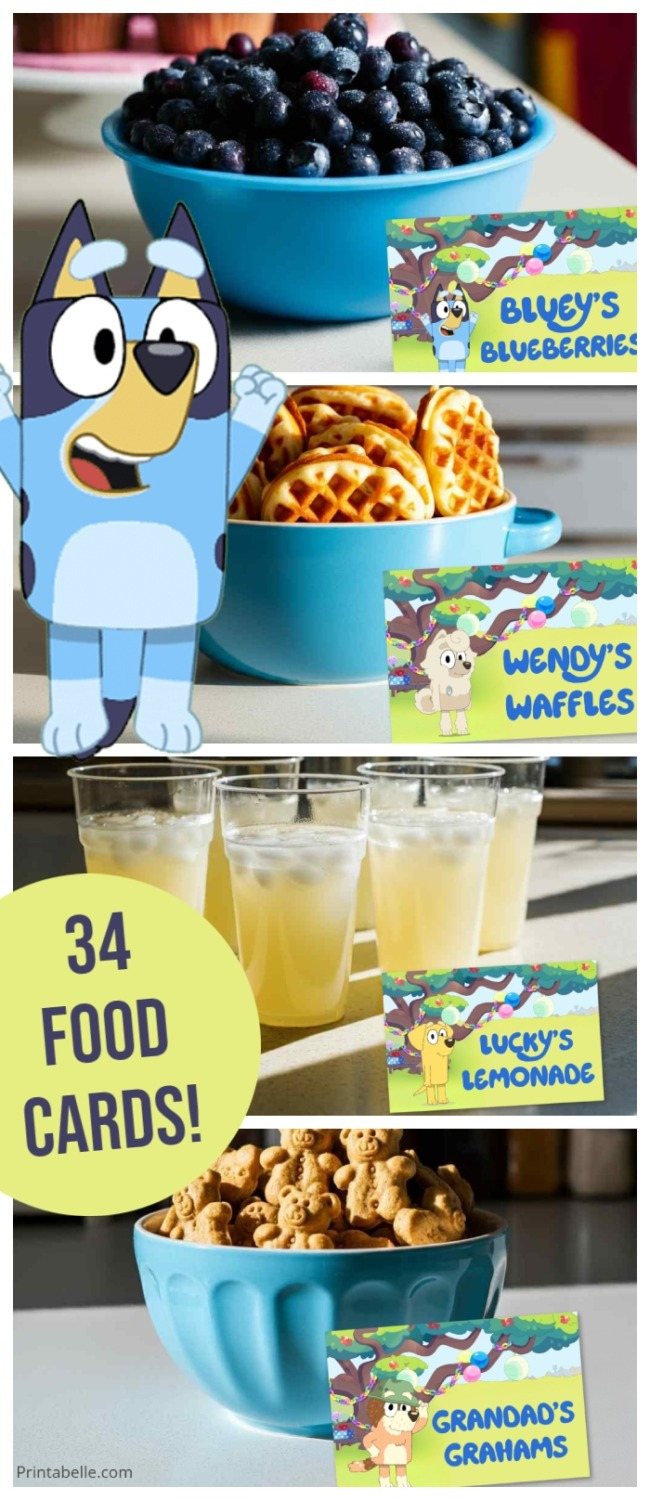 Bluey Party Food Label Cards + Free Snack Bar Sign | Printabelle for Bluey Food Labels Printable