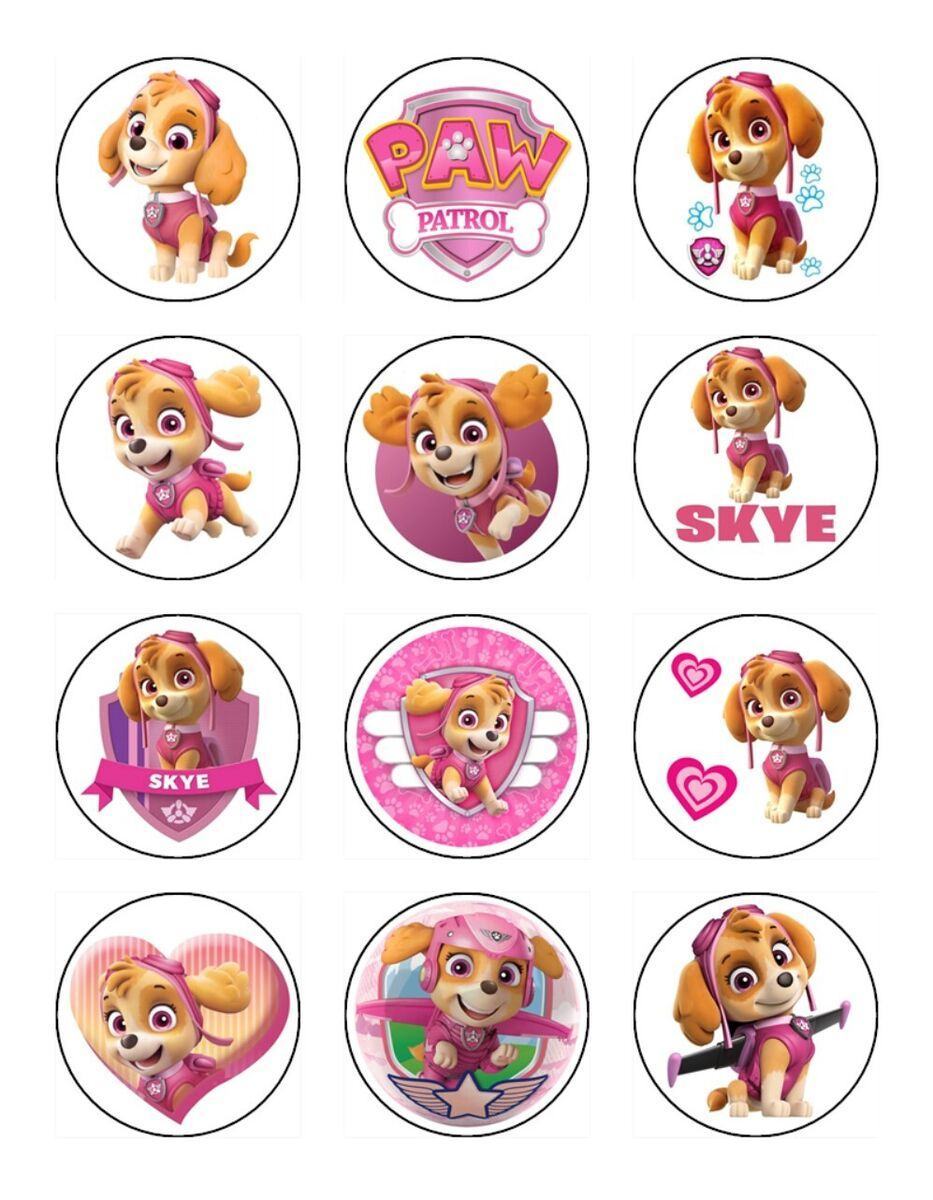 Cartoon Skye Paw Patrol Cupcake Toppers Edible Wafer Birthday Cake Decoration with regard to Printable Paw Patrol Cake Topper
