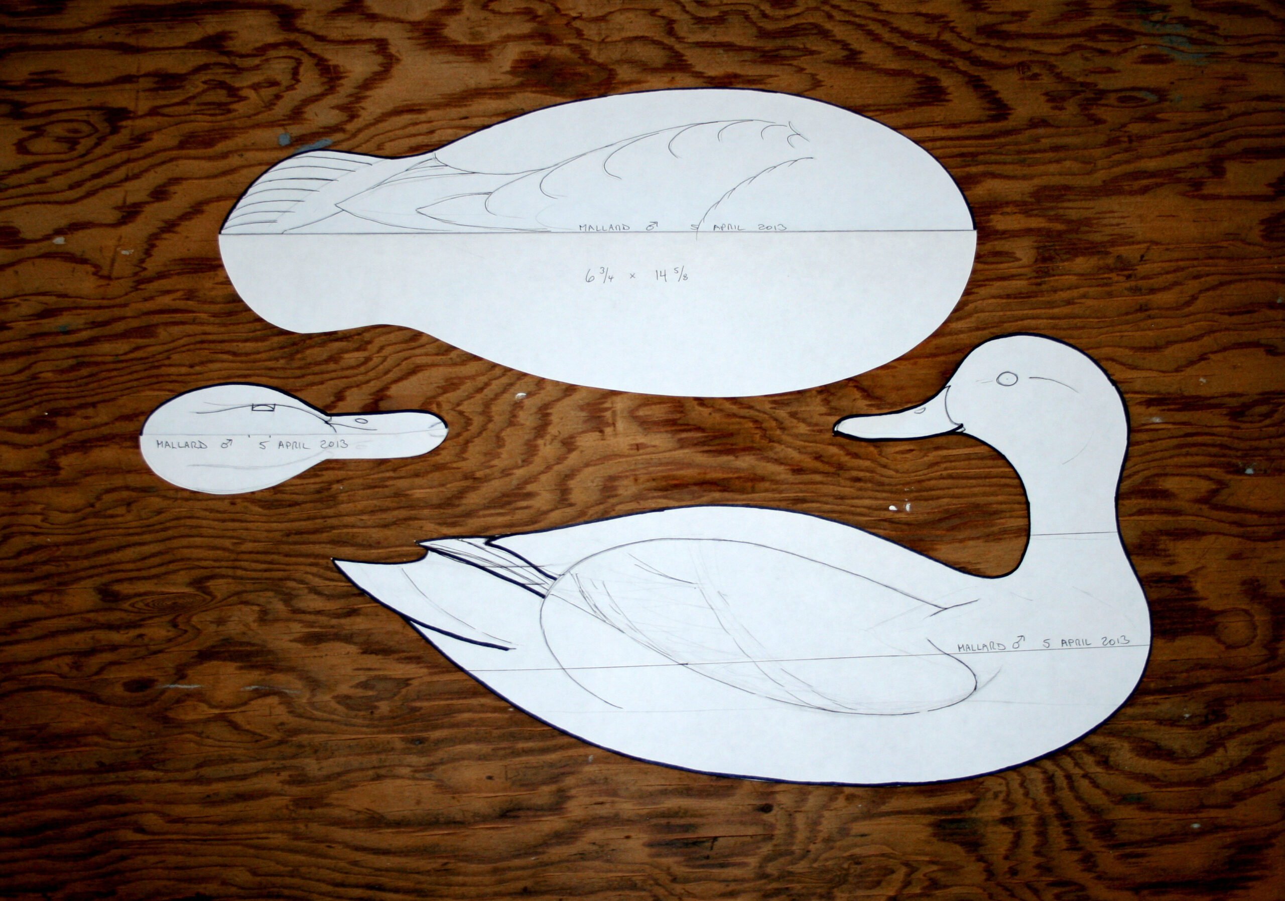 Carving A Mallard Head – Tutorial | Steven Jay Sanford pertaining to Printable Duck Decoy Carving Patterns Free