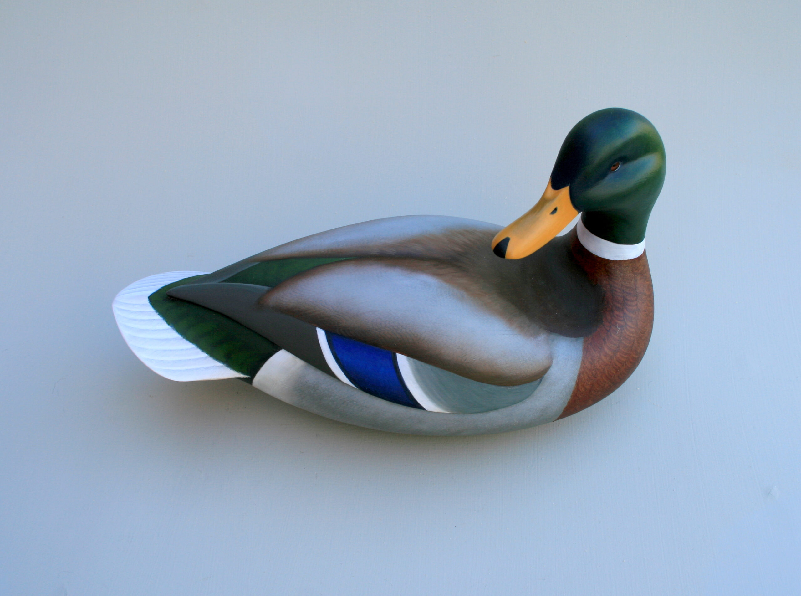 Carving A Mallard Head – Tutorial | Steven Jay Sanford with regard to Printable Duck Decoy Carving Patterns Free