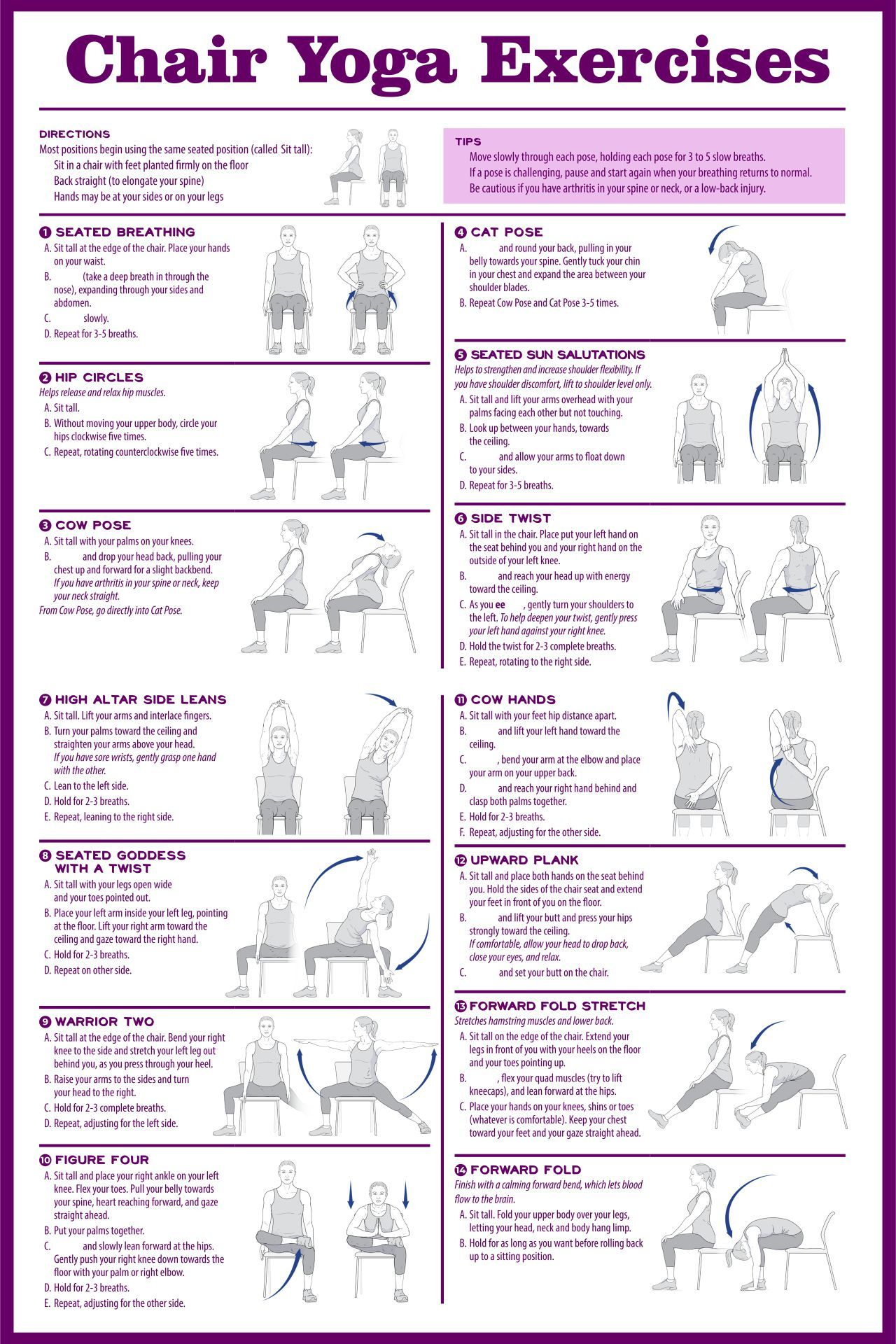 Chair Exercises For Seniors - 20 Free Pdf Printables | Printablee throughout Free Printable Chair Yoga Exercises Free Download