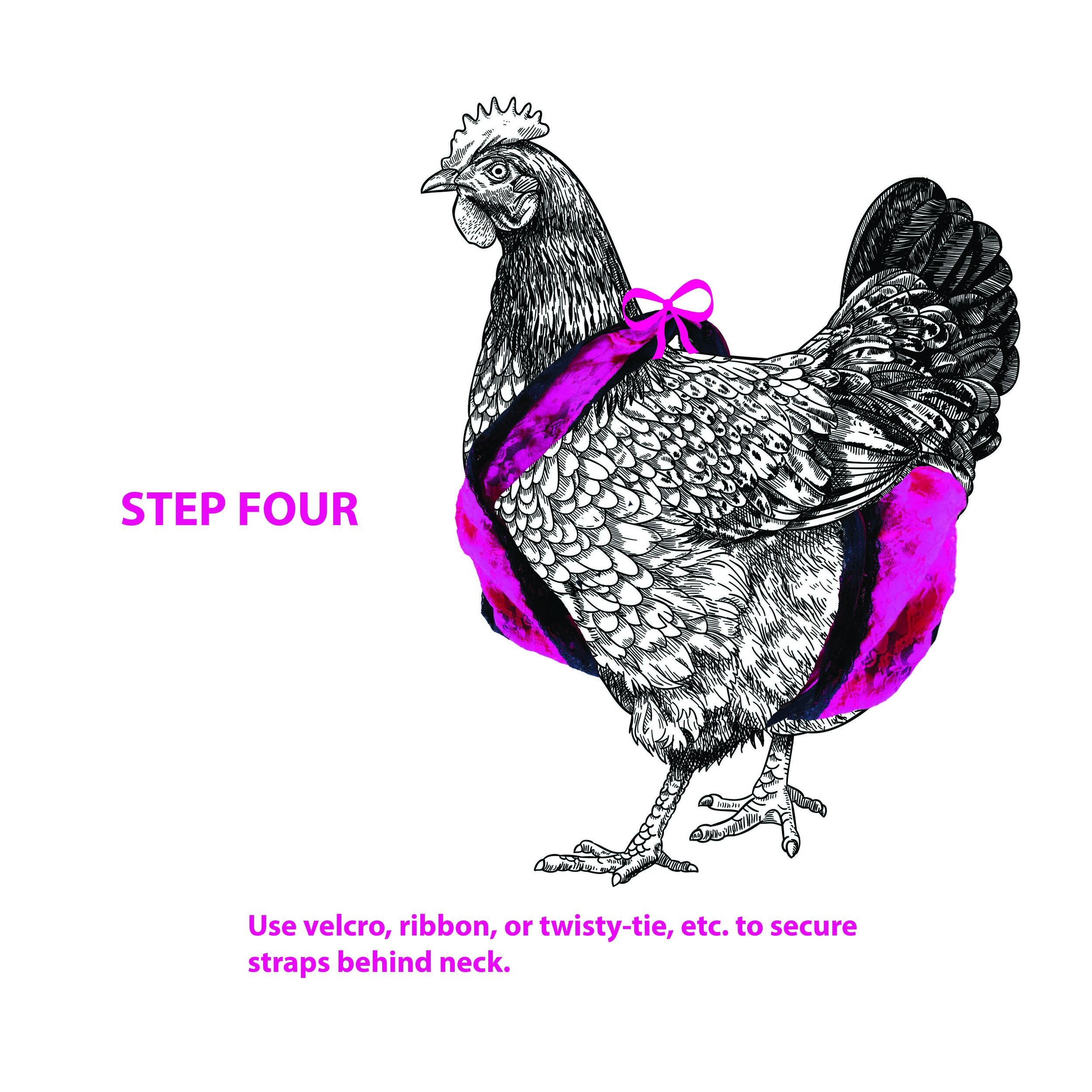 Chicken Lingerie — Drinking With Chickens- Craft Cocktail Recipes with Printable Chicken Diaper Pattern Free