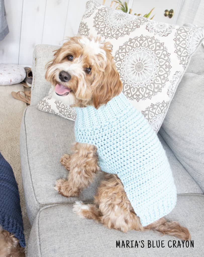 Crochet Dog Sweater Free Pattern - Maria&amp;#039;S Blue Crayon inside Free Printable Crochet Dog Sweater Patterns